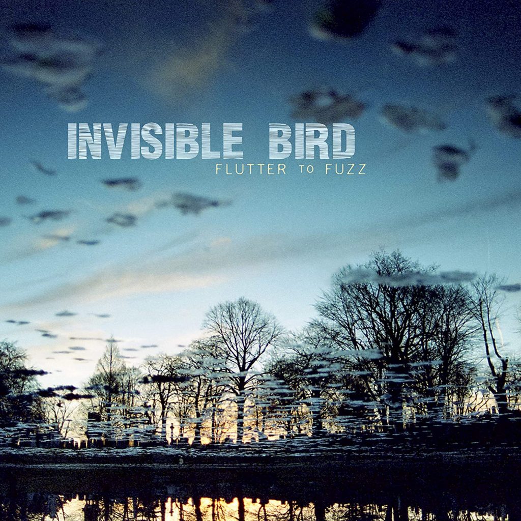 Invisible Bird Flutter to Fuzz album cover